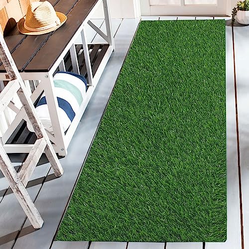 Fake Grass Rug Artificial Grass Mat Carpet Synthetic Indoor Outdoor Rug for Dog Garden Lawn Landscape Balcony (2FT X 10FT)