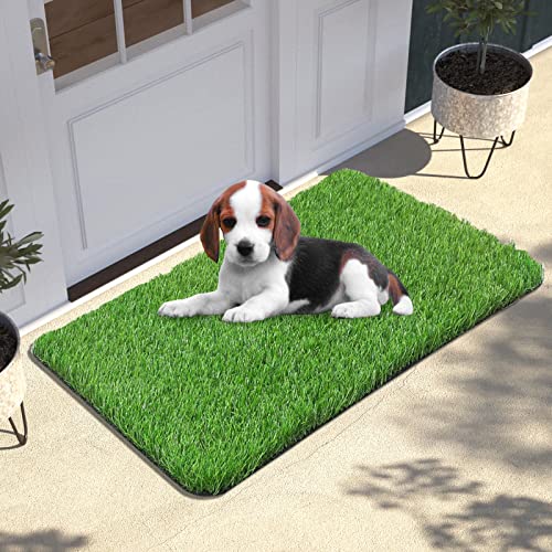 Findosom Artificial Grass Door Mat, 30 X 18 Inches Artificial Grass for Dogs, Professional Pee Pad for Dogs Potty Training Home Area Patio Lawn Garden DIY Decoration