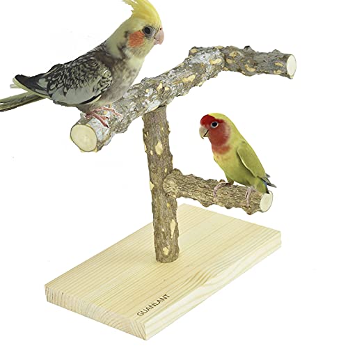 GUANLANT Wood Bird Table Perch Parrot Play Stand，Parakeet Perch Toy Multi Branch Cockatiel Perches Stand, Bird Cage Stand Play Station, Conure Playground for Finches Lovebirds Senegal Parrotlet