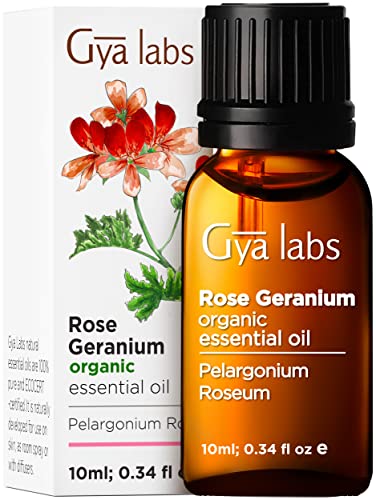 Gya Labs Organic Rose Geranium Essential Oil for Skin - Organic Geranium Essential Oil for Diffuser - Rose Geranium Essential Oil Organic for Aromatherapy - (0.34 fl oz)