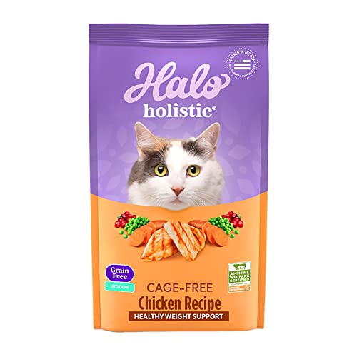 Best Cat Food Without Grains