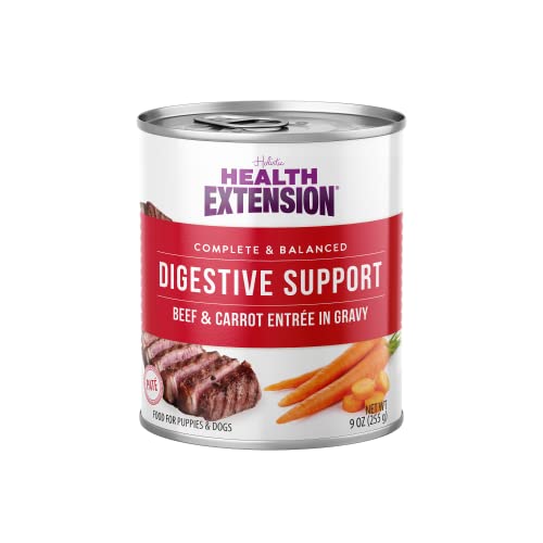 Health Extension Gravy Dog Food, Beef & Carrot Entrée, Crude Protein, Fiber & Fat with Added Vitamins, for All Life Stages, Wet Dog Food, Improve Gut Health, Digestive Support (9 Ounce, 12 Cans)