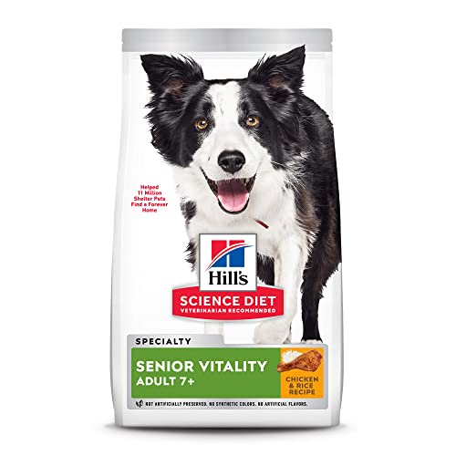 Best Food For Senior Small Dogs