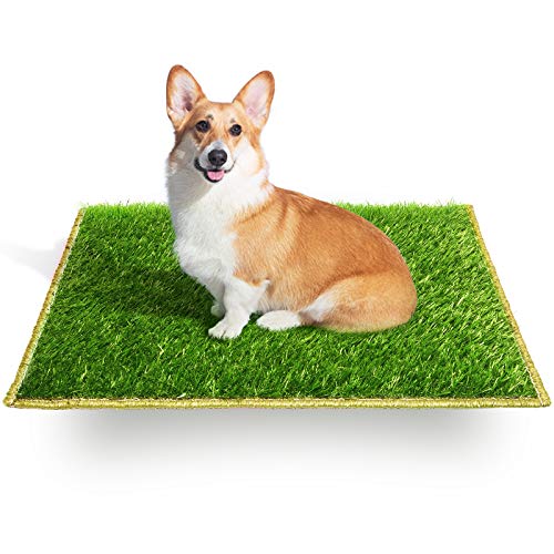 Hompet Dog Toilet Indoor Puppy Training Pad, Dog Potty Pet Training Grass Mat, Removable Waste Tray for Easier Clean Up, Artificial Turf, (1PCS-Grass 23"x18")