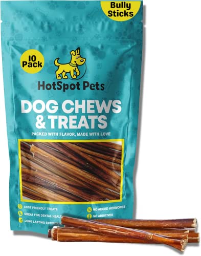 hotspot pets Bully Sticks 6 Inch- Premium Natural Long Lasting Bully Sticks for Medium Dogs Beef Pizzle Treats - Grain Free Fully Digestible Rawhide Alternative Stix