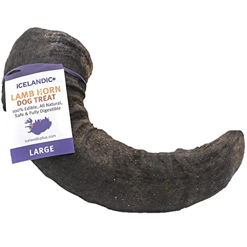 Icelandic+ Large Lamb Horn Dog Chew