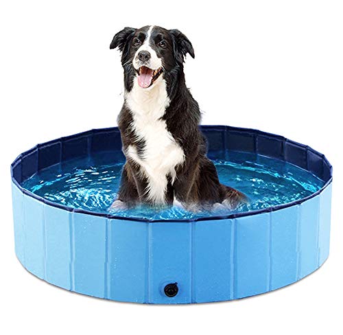 Jasonwell Foldable Dog Pet Bath Pool Collapsible, Bathing Tub Kiddie Pool for Dogs Cats and Kids (32inch.D x 8inch.H, Blue)