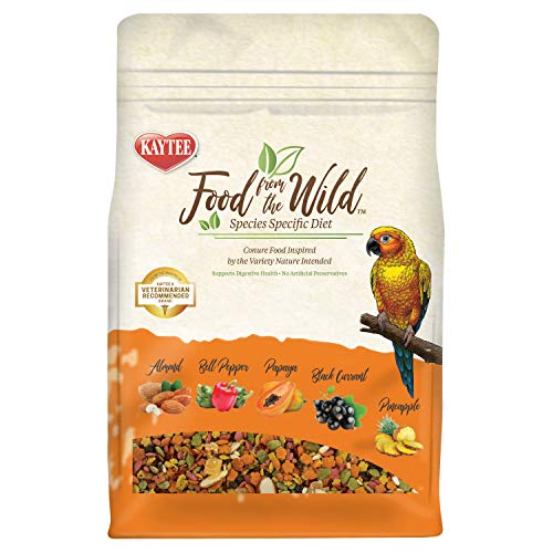 Kaytee Food from The Wild Natural Pet Conure Bird Food, 2.5 Pound