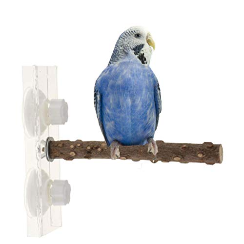 Keersi Bird Wood Shower Perch with Suction Cup Window Wall Outdoor Travel Stand for Parrot Parakeet Cockatiel Conure African Greys Amazon Cockatoo Budgie Lovebirds Finch Canary Bath Toy (25cm)