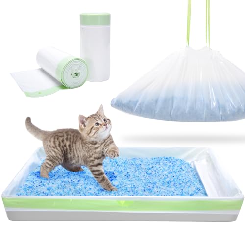 Inclosed Cat Litter Box