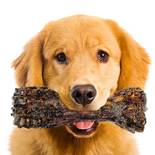 Lively Tails Liver Coated Dog Bones for Aggressive Chewers, Natural Dog Bones for Large Dogs, Beef Shin Large Dog Bones for Medium Dogs, Bones for Dogs Long Lasting, Dog Chew Bones - 1 Count