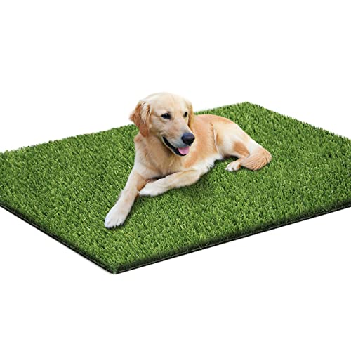 Loytryal 39.4 x 31.5 Inches Fake Grass Pee for Dogs Artificial Grass Rug Turf for Puppy Potty Training Washable Grass Mat Pee Grass for Dog Potty Tray