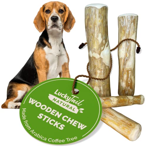 LuckyTail Wooden Stick - Coffee Tree Dog Chew Toy for Aggressive Chewers (Medium (2 Count))
