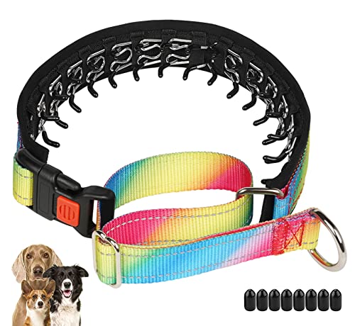 Martingale Collar for Dogs, No Pull Dog Collar with American Flag for Small Medium Large Dogs, Adjustable Funny Dog Collar with Buckle for Training Walking Hunting (Rainbow, M)