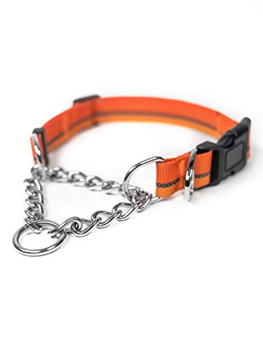 Mighty Paw Martingale Dog Collar 2.0 | Trainer Approved Limited Slip Collar with Stainless Steel Chain & Heavy Duty Buckle - Modified Cinch Collar for Gentle & Effective Pet Training - Large, Orange