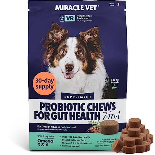 MIRACLE VET Probiotics for Dogs 7-in-1 - Digestive Health Support Pet Prebiotic for Dogs for itching, Itchy Skin Yeast, Diarrhea, Digestive Enzymes Gut Health Supplement - 60 Dog Probiotic Chews