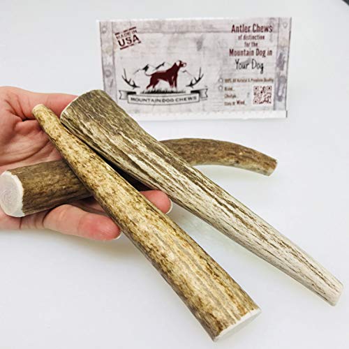 Mountain Dog Chews - Small Whole Elk 3 Pack - Elk Antler Dog Chew - Grade A Premium - Organic - Made in USA - No Mess