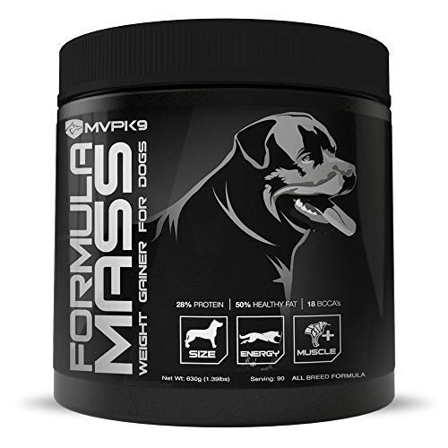 Muscle Building Supplements Dogs