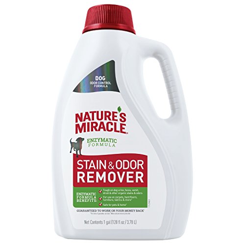 Get Serious Pet Stain Remover 2023 - Vet Ranch - We Love Pets