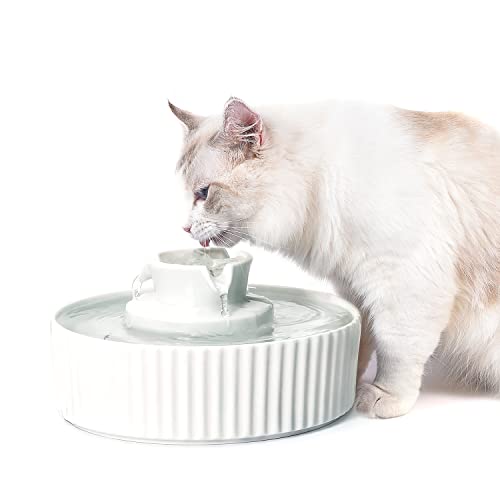 NautyPaws Ceramic Cat Water Fountain, Pet Ceramic Water Fountain Dispenser, 2.1 L Drinking Fountains Bowl for Cats and Dogs with Replacement Filters and Foam(White)