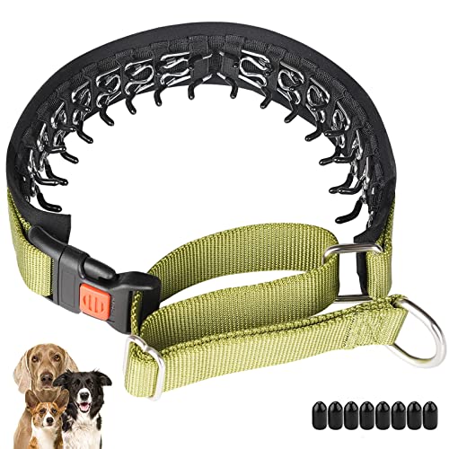 No Pull Dog Collar, Martingale Collar for Small Medium Large Dogs, Dog Anti Pull Collar with Buckle and Heavy Duty Nylon for Walking Training Hunting, Safe and Easy to Use (M, Green)