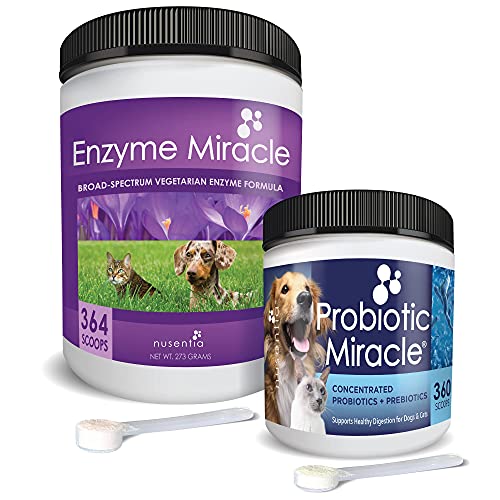 NUSENTIA The Miracle Pack - Natural Probiotics + Digestive Enzymes (Large) - Prebiotics - for Diarrhea, Gas, Loose Stool, Digestive Upset, & Allergies