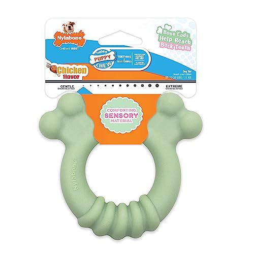 Nylabone Sensory Material Puppy Chew Toy Ring - Puppy Teething Toy for Boredom & Stimulation - Puppy Supplies - Chicken Flavor, Small/Regular (1 Count)