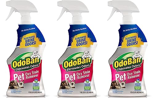 OdoBan Pet Solutions Oxy Stain Remover, Pet Stain Eliminator, 3-Pack, 32 Ounce Spray Each