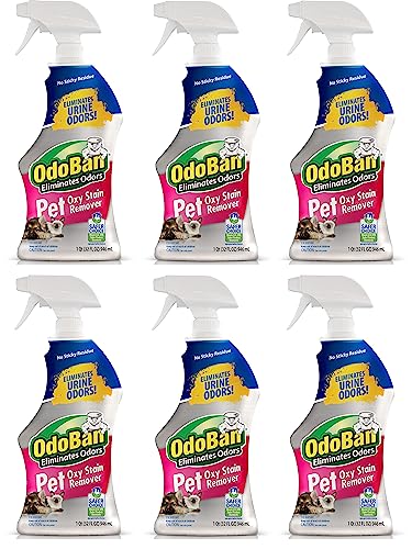 OdoBan Pet Solutions Oxy Stain Remover, Pet Stain Eliminator, 6-Pack, 32 Ounce Spray Each