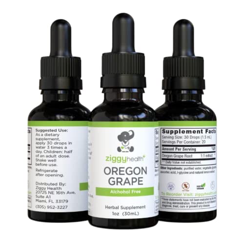 Oregon Grape Root Extract - Organic Liquid Tincture - Alcohol Free Herbal Supplement, Immunity Support and Digestive Support, Energy & Mood Booster, Supports Gut Health, 1oz, by Ziggy Health