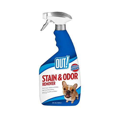 OUT! Pet Stain & Odor Remover, 32 oz, USA Made