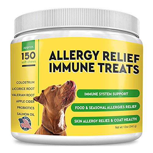 Pawfectchew Allergy Relief for Dogs - Immunity Supplement with Omega 3 Salmon Fish Oil, Colostrum, Digestive Prebiotics & Probiotics - Anti Itch & Skin Hot Spots - Made in USA - 150 Chews