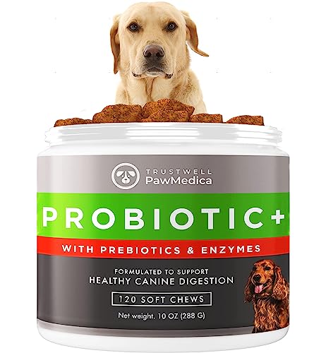 PawMedica Dog Probiotics and Digestive Enzymes, Probiotics for Dogs Made in USA, Pet Probiotic Chews for Dogs, Prebiotics & Probiotic Dog Digestive Support, Probiotic Treats - 120 Dog Probiotic Chews