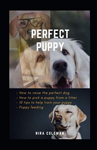 PERFECT PUPPY: How to raise the perfect dog: How to pick a puppy from a litter, 10 tips to help train your puppy, puppy feeding