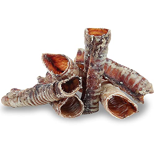 Pet Craft Supply All Natural Healthy Beef Trachea Bones Dog Chews Treats for Aggressive Chewers Long Lasting Rawhide Free Made in USA Premium Slow Roasted for Puppies Small Medium Large Dogs 6 Pack