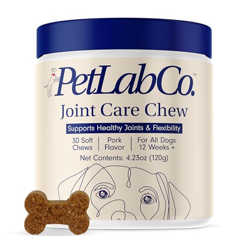 Petlab Co. Joint Care Chews - High Levels of Glucosamine for Dogs, Green Lipped Mussels, Omega 3 and Turmeric - Dog Hip and Joint Supplement to Actively Support Mobility - Packaging May Vary