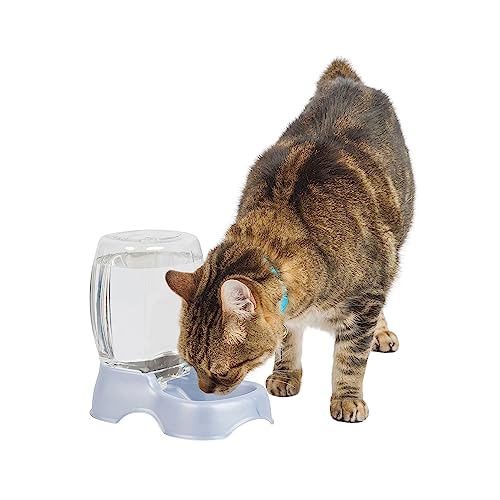 Petmate Pet Cafe Waterer Cat and Dog Water Dispenser, pearl silver gray, 0.25 GAL (24436), Made in USA