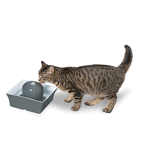 PetSafe Drinkwell Seascape Ceramic Pet Water Fountain - Quiet Automatic Water Dispenser for Cats and Small Dogs with Filters Included - 70 Ounce (2 Liter) - Dishwasher Safe - Square Modern Design Gray