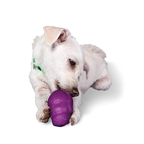 PetSafe Premier Squirrel Dude Dog Toy, Small