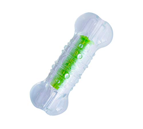 Petstages Crunchcore Bone Water Bottle Alternative Dog Chew Toy, Medium