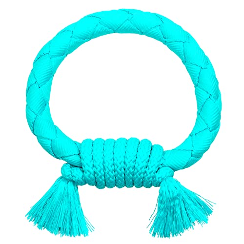 Playology Peanut Butter Scent Dri-Tech Ring Dog Toy, Large