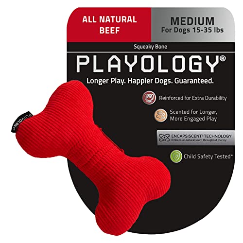 Playology Plush - Squeaky Bone - Medium - Engaging All-Natural Beef Scent