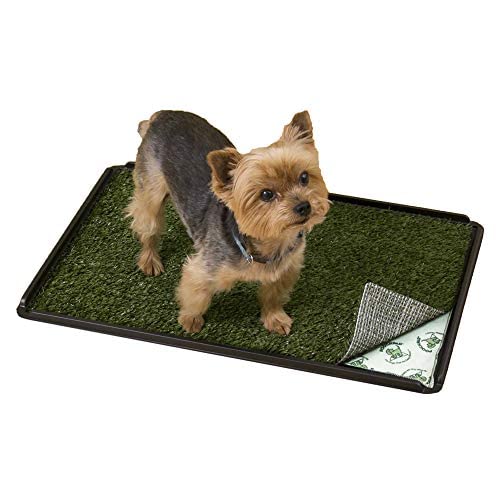 Pooch Pads Indoor Turf Dog Potty Plus, for Dogs up to 20 lbs., 24" L X 16" W X 1" H