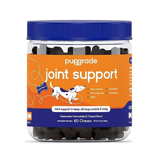 Natural Joint Relief For Dogs