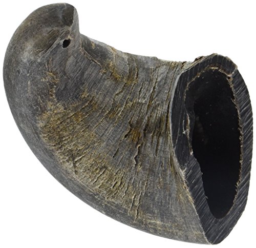 QT Dog - Buffalo Horn Small