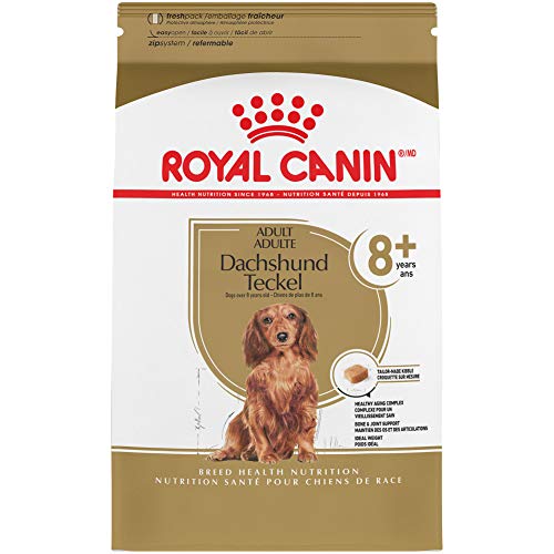 Royal Canin Breed Health Nutrition Dachshund Teckel 8+ Adult Dry Dog Food, 3 lb bag