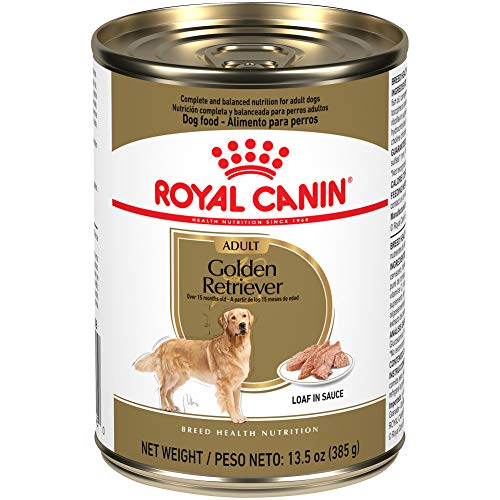 Royal Canin Breed Health Nutrition Golden Retriever Adult Loaf in Sauce Canned Dog Food, 13.5 oz Can (Case of 12)