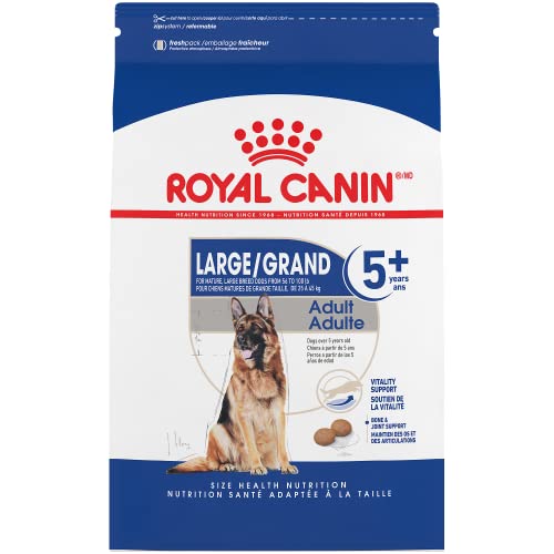 Best Food For Giant Breed Dogs