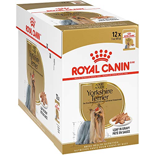 Royal Canin Yorkshire Terrier Adult Breed Specific Wet Dog Food, 3 oz can 12-pack