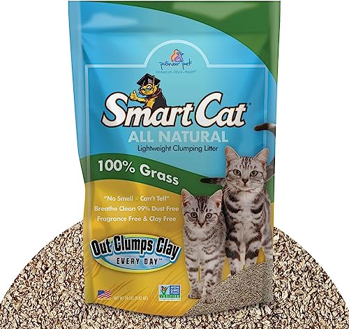 SmartCat All Natural Clumping Cat Litter, 5 Pound (80oz 1 Pack) - Chemical and Dust Free - Alternative to Clay and Pellet Litter – No Chemicals and 99% Dust Free - Unscented and Lightweight